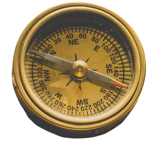 Show about of the project